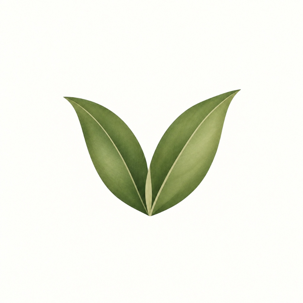 Vietthao Logo